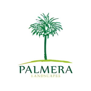 New Project - 2025-06-16T144658.932